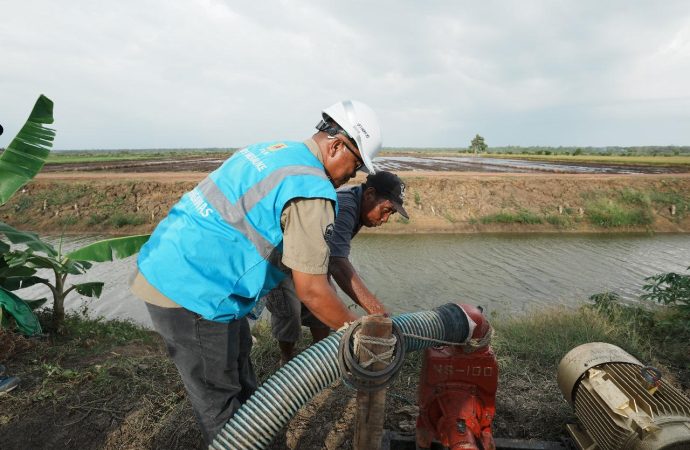 Dansatgas Hanpangan Kementan: Penggunaan Pompa Air Listrik Hemat Operasional Petani