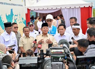 Presiden Resmikan Proyek Strategis Ketenagalistrikan Terbesar di Dunia