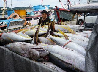 Sistem Pascaproduksi PIT Tingkatkan PNBP SDA Perikanan 30%