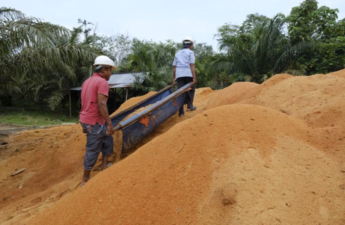 Co-Firing Biomassa di PLTU PLN Hasilkan 1,67 Juta MWh Listrik Hijau Sepanjang 2024