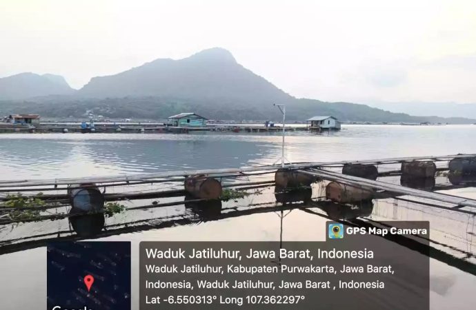 KKP: 100 Ton Ikan Senilai Rp2,2 Miliar Mati di Waduk Jatiluhur