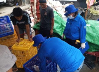 KKP Jemput Bola Pastikan Penerapan CPIB di Kapal Perikanan
