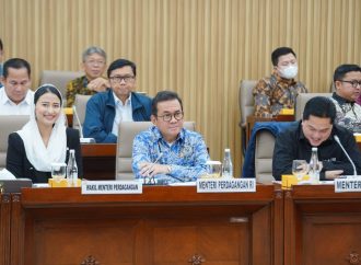 DPR Setuju Pagu Anggaran 2025 Kemendag Rp1,132 T