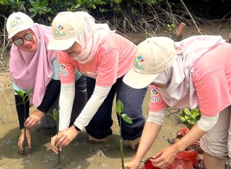 PLN Jadi BUMN Pertama dengan Standar Internasional dalam Kesetaraan Gender