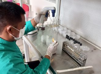 KKP Pastikan Produk Perikanan Aman dari Bakteri E. Coli Selama Ramadan