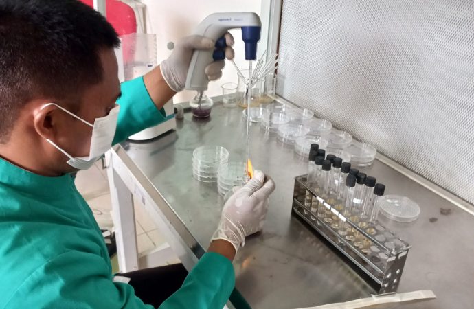 KKP Pastikan Produk Perikanan Aman dari Bakteri E. Coli Selama Ramadan