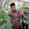 Kopontren Al-Ittifaq Jadi Role Model Kopdes Merah Putih di Sektor Pertanian