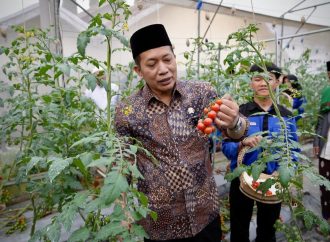 Kopontren Al-Ittifaq Jadi Role Model Kopdes Merah Putih di Sektor Pertanian