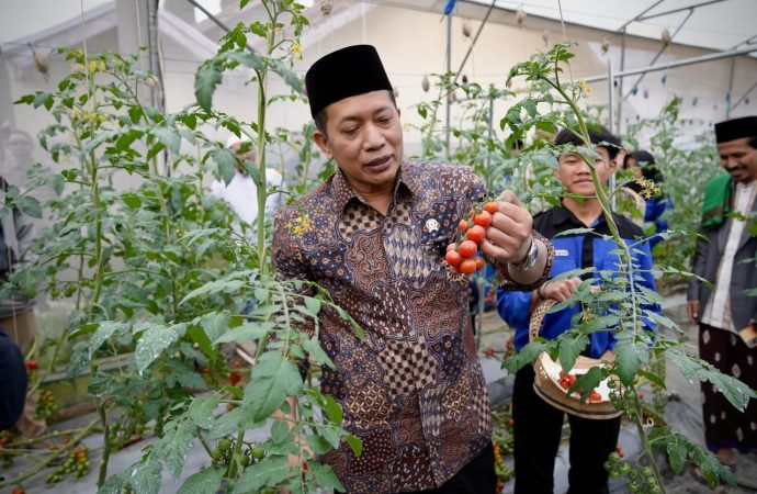 Kopontren Al-Ittifaq Jadi Role Model Kopdes Merah Putih di Sektor Pertanian