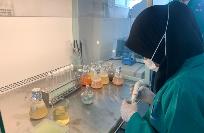 KKP Awasi Ketat Produk Perikanan dari Bakteri E-Coli