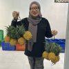 Kisah Sukses NanasQu: Dari Desa Siwarak Menuju Pasar Internasional