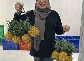 Kisah Sukses NanasQu: Dari Desa Siwarak Menuju Pasar Internasional