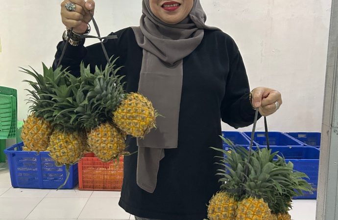 Kisah Sukses NanasQu: Dari Desa Siwarak Menuju Pasar Internasional