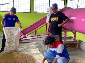 Transformasi Desa Mernek: Dari Sawah Terendam Jadi Sentra Ketahanan Pangan