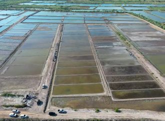 NTB Miliki Potensi Jadi Sentra Garam Nasional