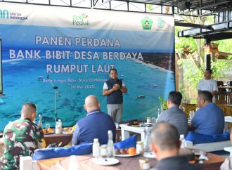 Dari Desa Pinggir Laut ke Panggung Dunia: Jungut Batu Bangkit Lewat Rumput Laut