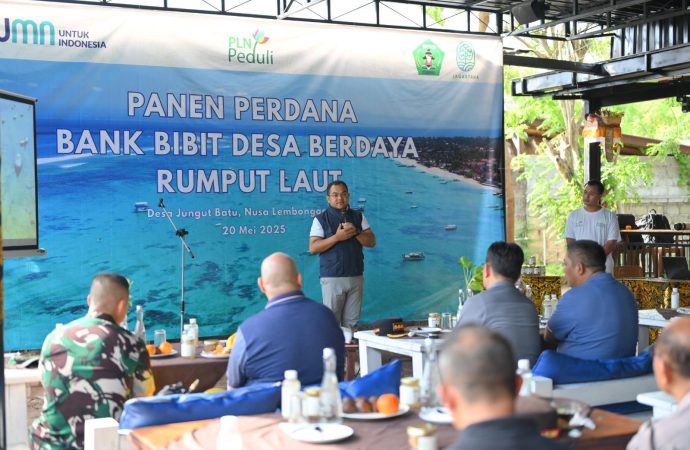 Dari Desa Pinggir Laut ke Panggung Dunia: Jungut Batu Bangkit Lewat Rumput Laut