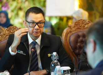PLN dan China Kompak Dorong Energi Terbarukan, Ini Rencana Besarnya!
