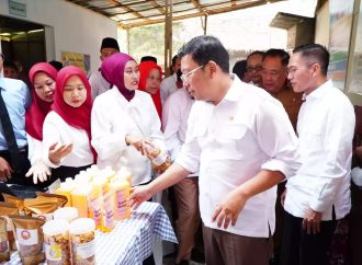 Kios Pangan Buat Stabilitas Harga Pangan & Hindari Praktik Distribusi Tak Wajar