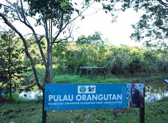 Dari Energi ke Ekologi: Pertamina Perluas Konservasi Satwa Dilindungi