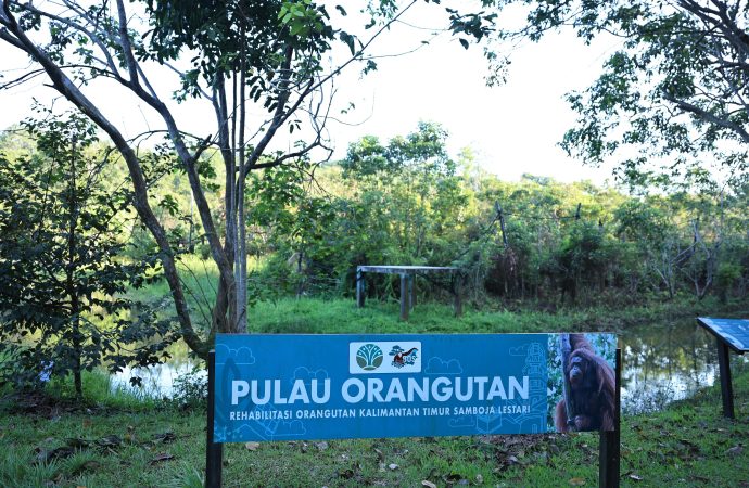 Dari Energi ke Ekologi: Pertamina Perluas Konservasi Satwa Dilindungi