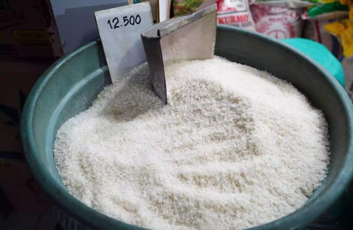 Pemerintah Godok Standar Mutu & Harga Beras Reguler
