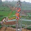 Luar Biasa! Pendapatan Rp545 Triliun Antar PLN Masuk Top 500 Dunia