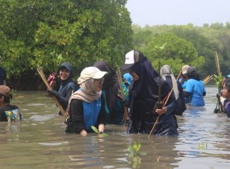 Bukan Kaleng-kaleng! Universitas Pertamina Dikagumi Dunia Lewat Riset dan Aksi Lingkungan