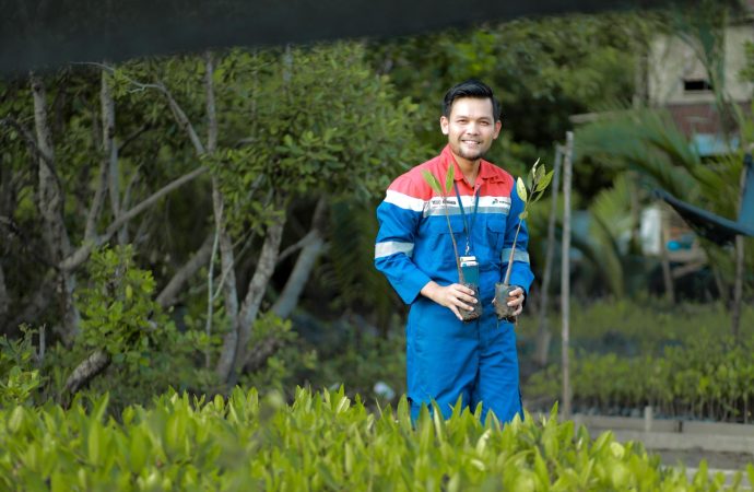 Abrasi Minggir! Pertamina Bawa 202 Jenis Mangrove Lindungi Pesisir