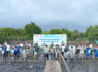 Gak Main-Main, Pertamina Wujudkan Net Zero 2060 Lewat 800 Mangrove di Kampoeng Kepiting