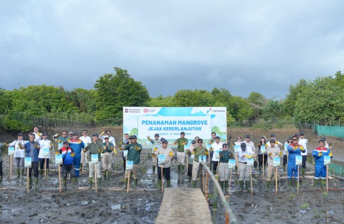 Gak Main-Main, Pertamina Wujudkan Net Zero 2060 Lewat 800 Mangrove di Kampoeng Kepiting
