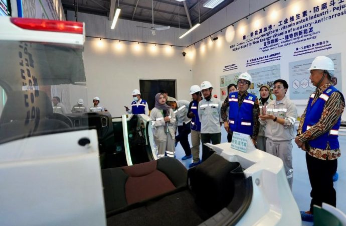 Pemerintah Terus Genjot Kapasitas Produksi Nikel
