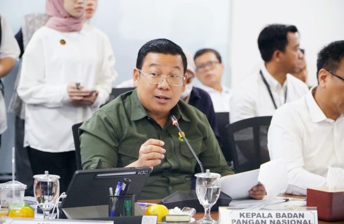 Danantara Suntik Dana Rp1,5 Triliun ke ID FOOD, Skema B2B, Bukan PMN