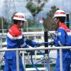 Pertamina NRE Perkuat Ketahanan Energi Nasional lewat Proyek EBT dan Efisiensi Industri