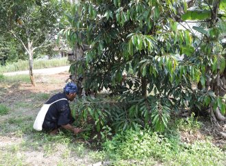 Reforma Agraria Bantu Petani Kelola Tanah Lebih Produktif