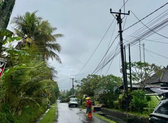 PLN Pulihkan Jaringan Pascabencana, Aktivitas Warga Bali Kembali Normal