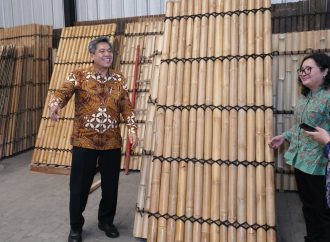 Bisa Dijadikan Konstruksi dan Bioindustri, Peluang Industri Bambu Menggiurkan