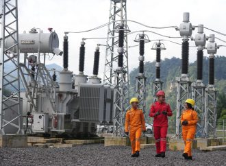 Minat Masyarakat Meledak, 245 Ribu Orang Daftar Rekrutmen PLN Group 2025