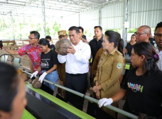 Pemerintah Dorong Kenaikan Harga Kelapa Petani Lewat Hilirisasi Industri