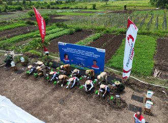Energi Surya Pertamina Hidupkan Kembali Lahan Kering Sobokerto, Petani Boyolali Panen Harapan Baru