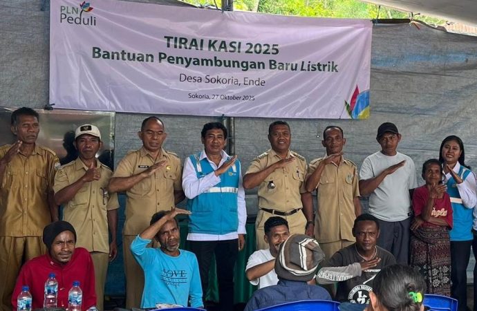 PLN Hadirkan Listrik Gratis untuk 7 Desa di Ende, Bukti Nyata Keadilan Energi